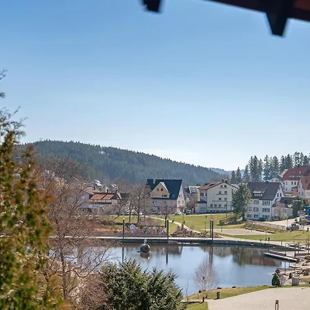Karin Apartment Schonach im Schwarzwald