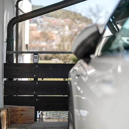 Karin Schonach im Schwarzwald