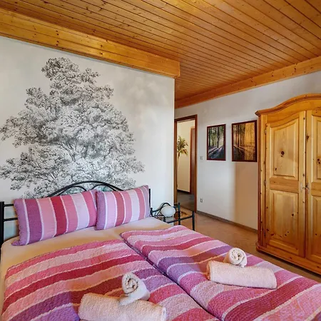 Apartment Karin Schonach im Schwarzwald